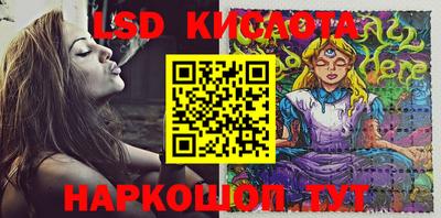 PSILOCYBIN Гусев