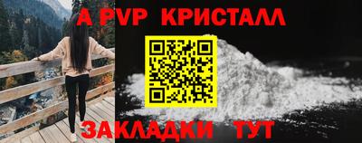 PSILOCYBIN Гусев